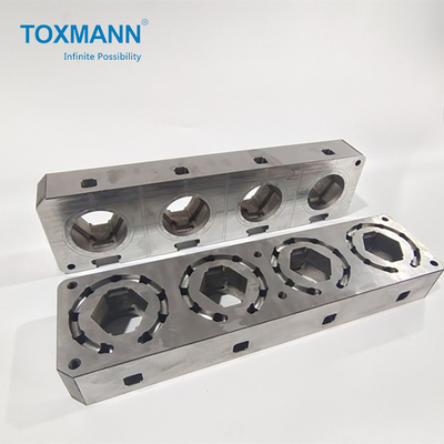 Toxmann العملية الدقيقة أجزاء القالب الأساسية لوحة لمستحضرات التجميل العفن البلاستيك