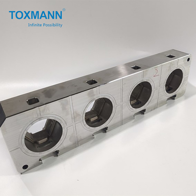 Toxmann العملية الدقيقة أجزاء القالب الأساسية لوحة لمستحضرات التجميل العفن البلاستيك
