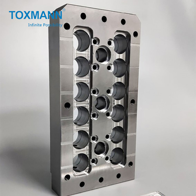 Toxmann العملية الدقيقة أجزاء القالب الأساسية لوحة لمستحضرات التجميل العفن البلاستيك